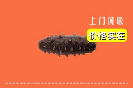收购资讯:铜梁区回收海参