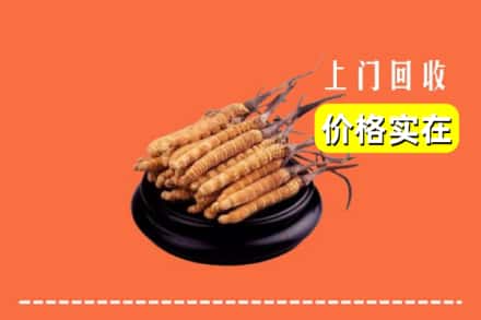 收购资讯:铜梁区回收冬虫夏草